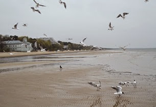 DSCF2799 DSCF2799