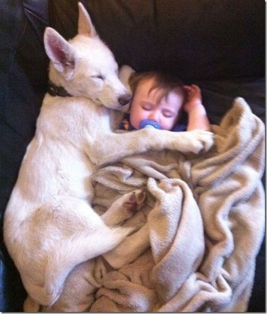 viral-picdump-pics-7eb8ef