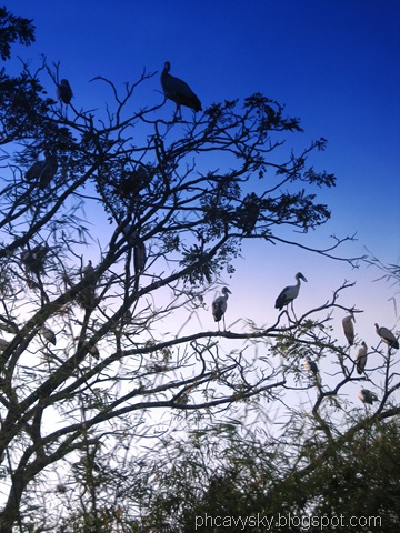 [IMG_44464.jpg]