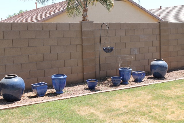 [seedling%2520kit%2520043%255B3%255D.jpg]