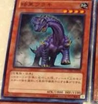 darkbrachi darkbrachi