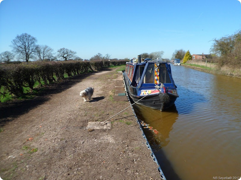 SAM_0026 New Moorings at L57