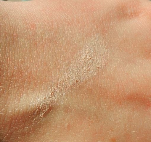 Emite make up eye shadow nect swatches