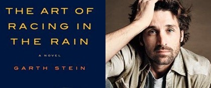 essays on the art of racing in the rain essays on the art of racing in the rain