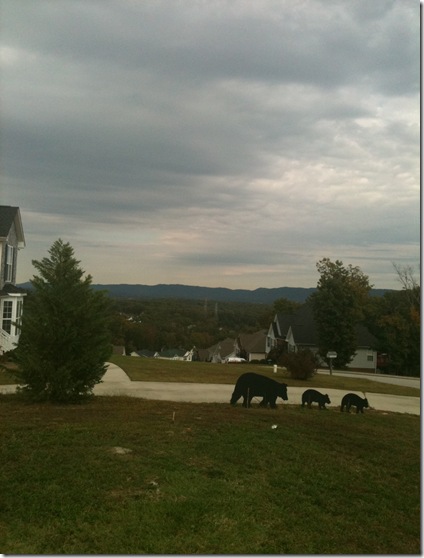 IMG_0251 IMG_0251