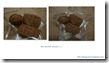 21 - Bourbon Biscuits 21 - Bourbon Biscuits