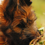 Abi - DSC_0144.jpg