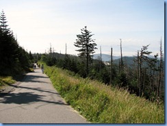 0304 Tennessee-North Carolina border - Smoky Mountain National Park - Clingmans Dome Rd - trail to Clingmans Dome