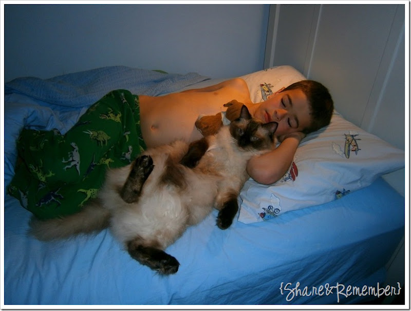 Brett & Stormy