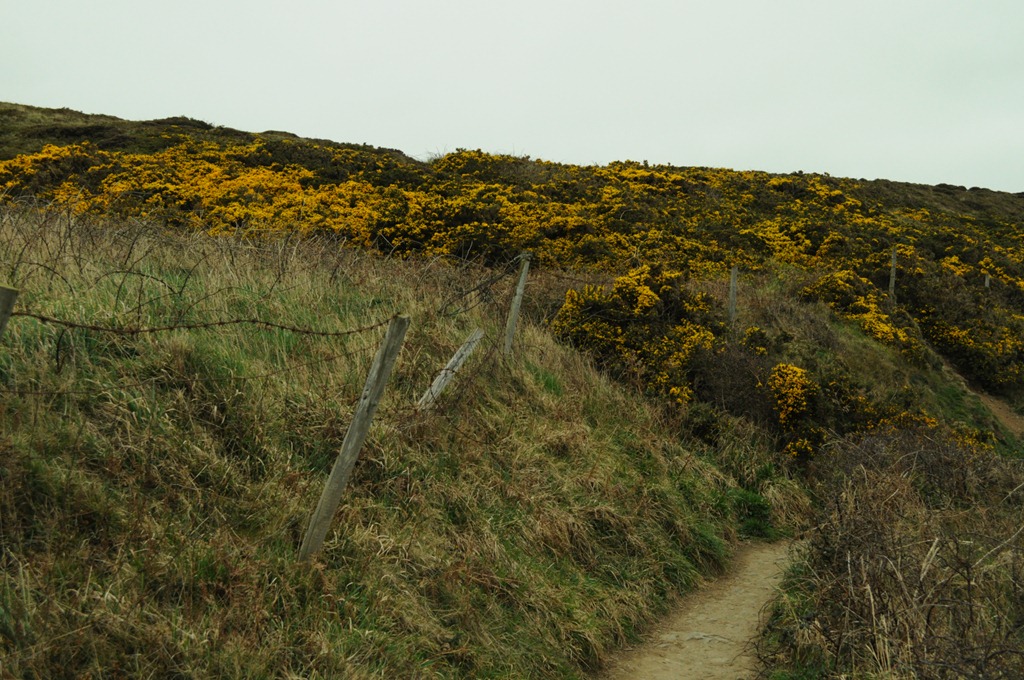 [DSC_01935.jpg]