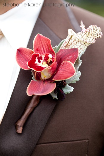 [IMG_8773-stephanie-karen-photography.jpg]