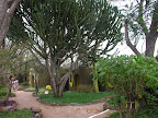 DSCN5894.JPG