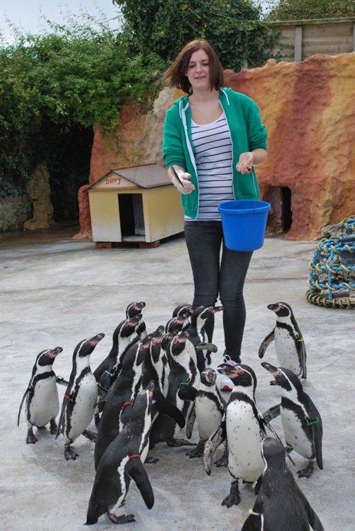 [DSC_0235%255B7%255D.jpg]