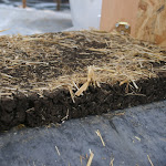 IMG_9824.JPG