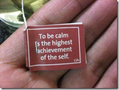 To Be Calm