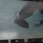 DSCN7342.JPG