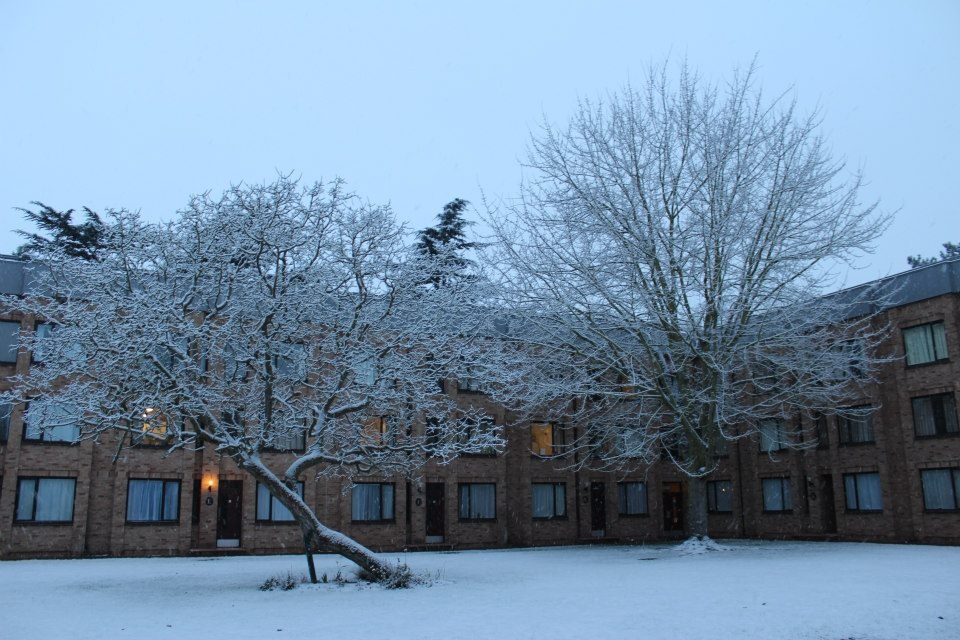 [Wolfson%2520court%255B3%255D.jpg]