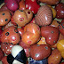 Afrika arcai / DSCN8951.JPG