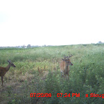 MDGC0684.JPG