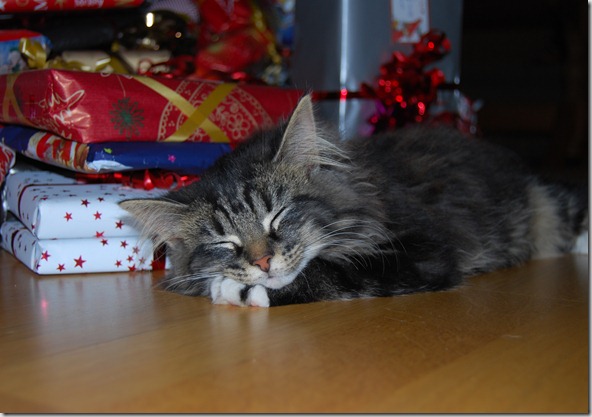 Advent  litt jul 2011 020
