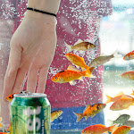 STAC_Festival_2009-45.jpg
