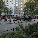 Central park
