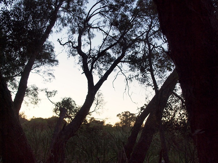 5. morning