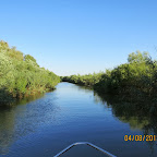IMG_6173.JPG