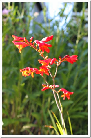 IMG_5048 IMG_5048
