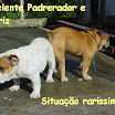 situacao rara cruza conduzida.jpg