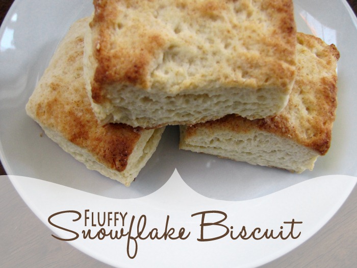 [biscuit%255B3%255D.jpg]