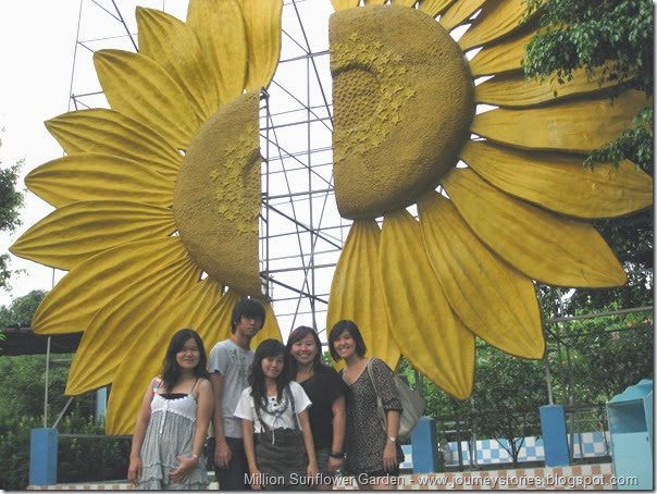 Sunflower Garden (215)