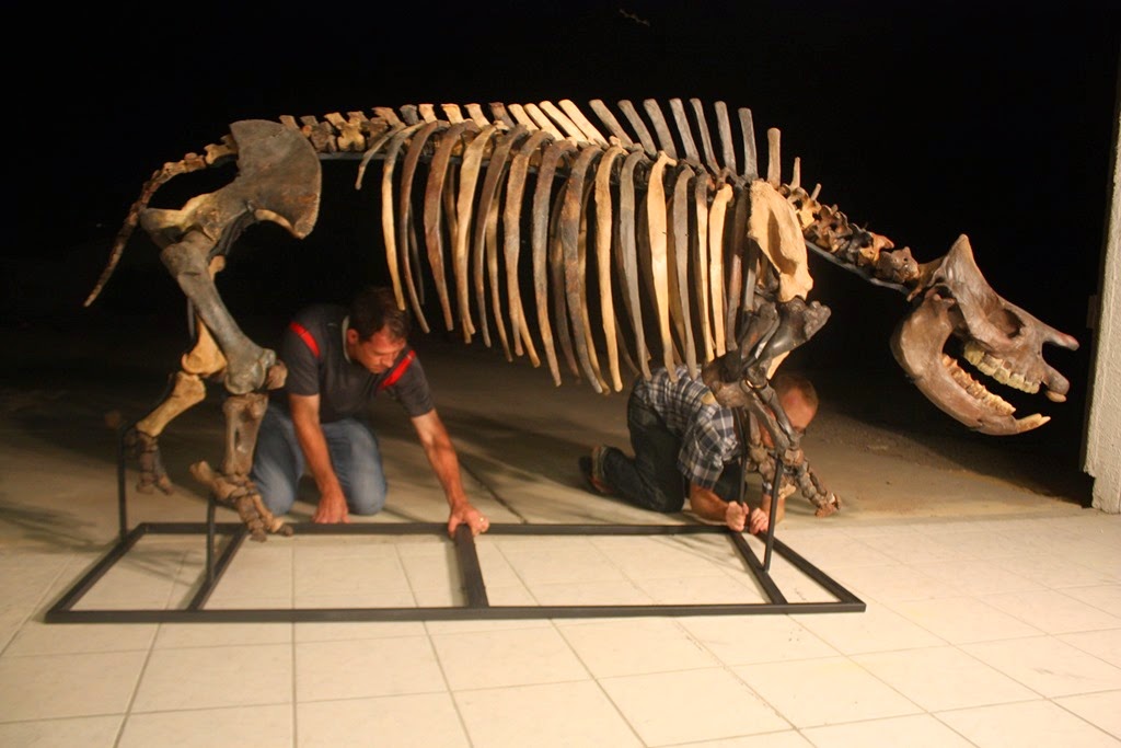 [Andy%2527s%2520fossil%2520pics%2520158%255B4%255D.jpg]