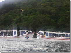 IMG133 IMG133