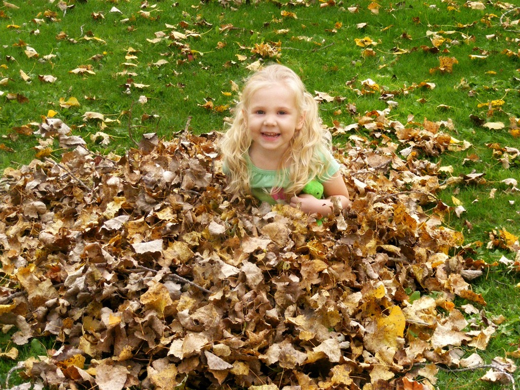 [Autumn%25207%255B3%255D.jpg]