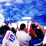 telon14.jpg