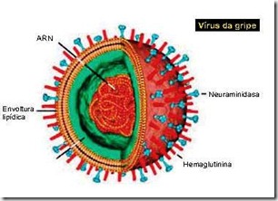 GRIPE A ACUPUNTURA CURITIBA 2