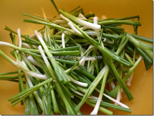 How to prepare green onions for the freezer.  Tips from the Crafty Cousins (8)