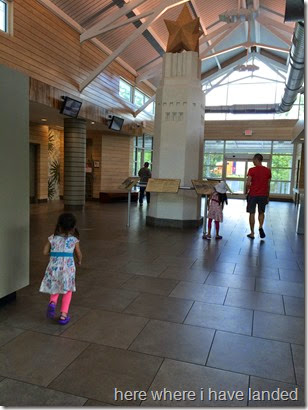 IMG_5566 IMG_5566