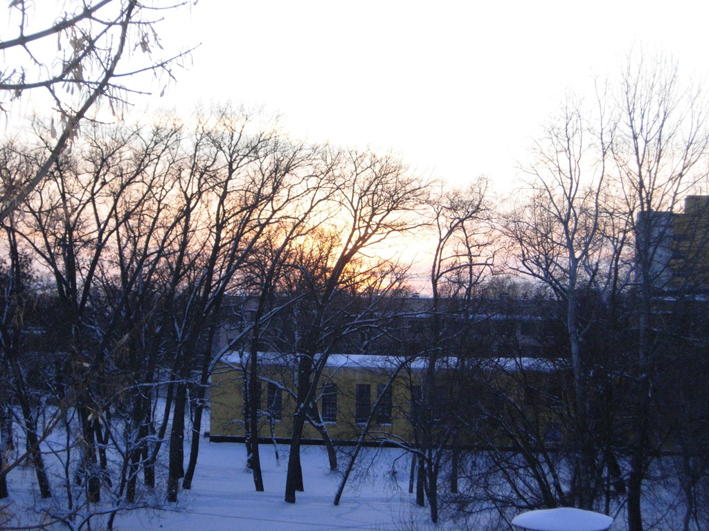 [DSCN43934.jpg]