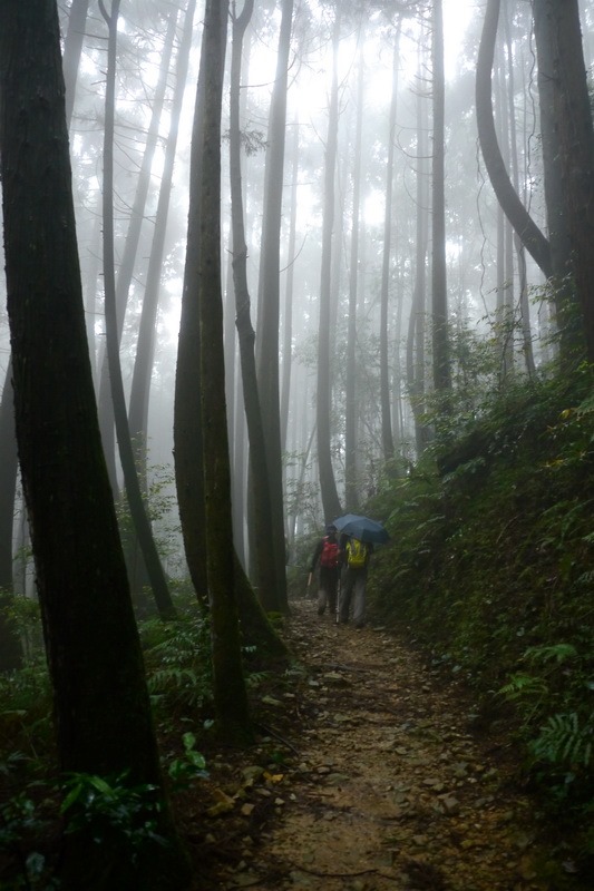 2013_0413 橫嶺山木馬古道_025 2013_0413 橫嶺山木馬古道_025