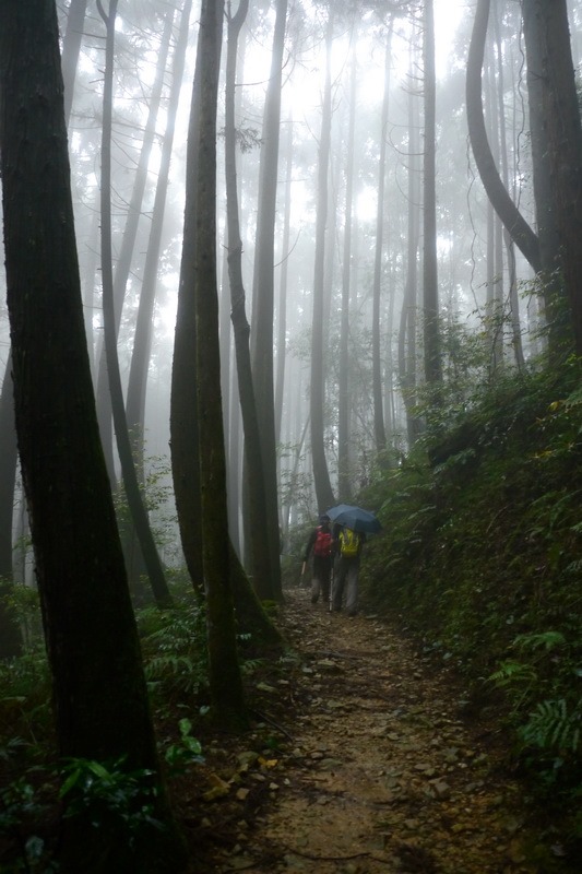 2013_0413 橫嶺山木馬古道_025