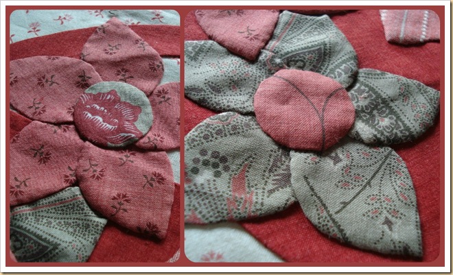 Collage de flores pic