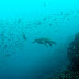 Dsc02189