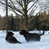IMG_5807.JPG