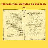 Manuscritos Califales (29)
