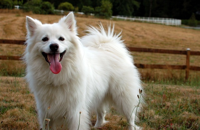 [DSC_6785%255B4%255D.jpg]