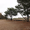 dsc05336.jpg