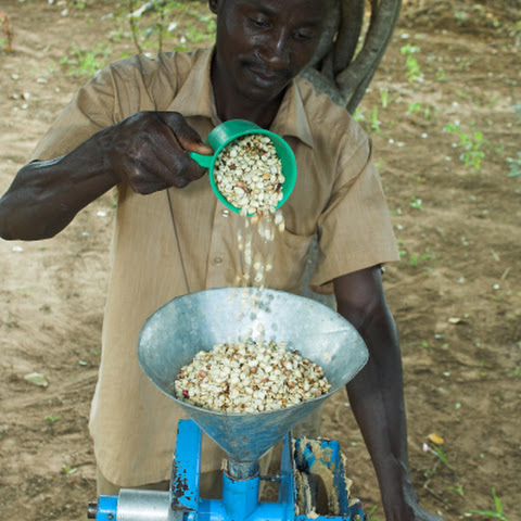 On working farm