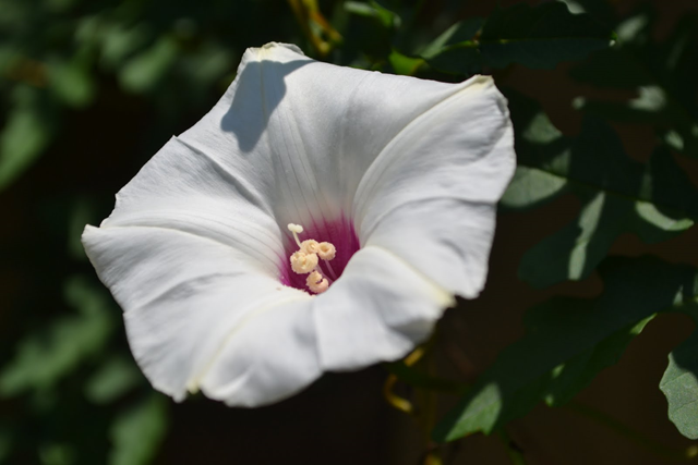 [image%255B37%255D.png]